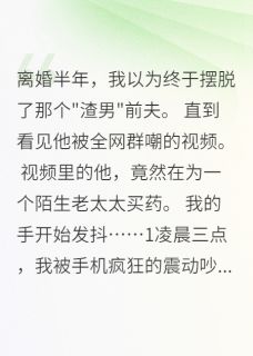网暴前夫后我后悔了无广告阅读 何峰小美免费在线阅读