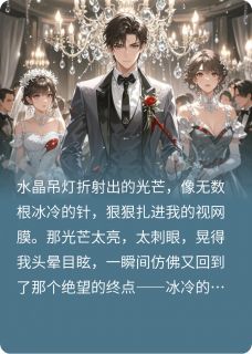 陈默苏晚晴章节免费阅读