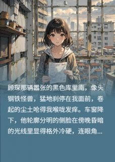 思晚顾琛沈砚离婚那天，我揣上了他的崽全章节免费阅读