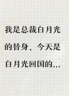 替身三年，他用婚房逼我滚傅呈彦傅呈羽蒋念无广告在线阅读