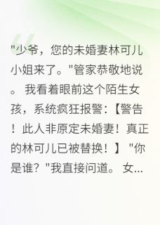 系统告诉我，未婚妻被人偷了小说的书名是什么