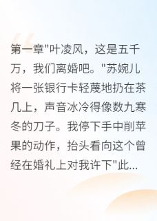 如烟漫画的小说豪门千金给我五千万求离婚主角是苏婉儿叶凌风许君临