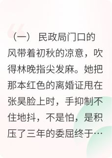 作者我是拾三写的离婚当天，霸道总裁喊我太太小说大结局全章节阅读-暗夜阅读网
