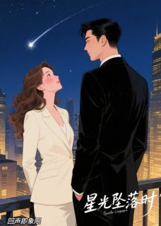 星光坠落时完整版-苏念傅斯年在线全文阅读-暗夜阅读网