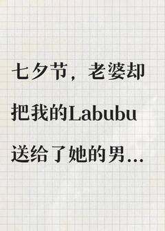 七夕节，老婆把我珍藏的Labubu送给男秘书之后免费小说作者张三的歌全文阅读-暗夜阅读网