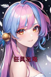 (精品)狂风攻略小说