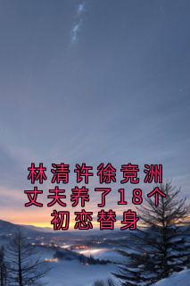 林清许徐竞洲丈夫养了18个初恋替身在线全文阅读-主人公林清许徐竞洲小说