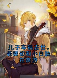 书荒推荐儿子车祸去世，老婆却和小白脸在旅游(吴美晗白青松)在线试读