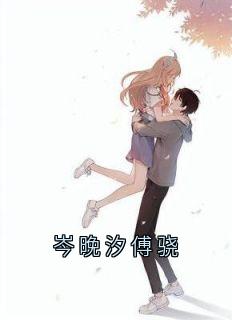 岑晚汐傅骁无弹窗在线阅读
