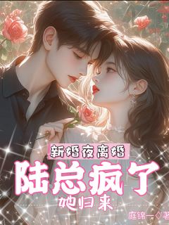 书荒必备新婚夜离婚，她归来，陆总疯了全文章节阅读