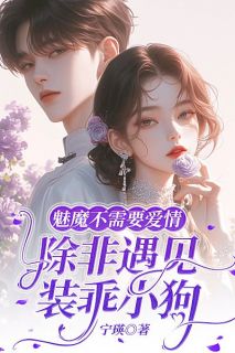 魅魔不需要爱情，除非遇见装乖小狗小说最后结局，陆风崔柳毅赵雅静百度贴吧小说全文免费