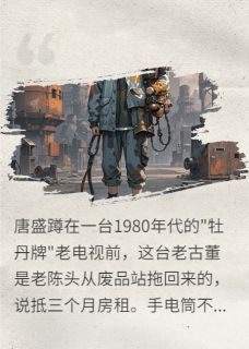 唐盛小九全本章节在线阅读大结局