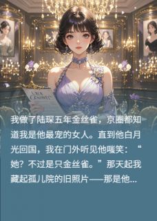 陆琛苏素素小说这金丝雀我不干了完整章节-暗夜阅读网