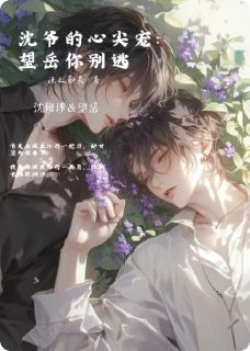 (好书推荐)沈爷的心尖宠:望岳你别逃!小说最新章节小说全文阅读-暗夜阅读网