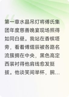 银杏下的爱傅熠辰周沅谢钧最新章节在线阅读