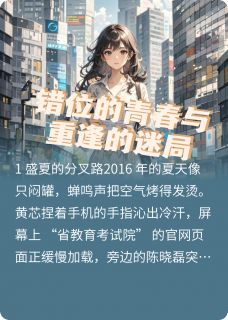 主角黄芯陈晓磊苏芮的小说作者喜欢芍药的牛马-暗夜阅读网