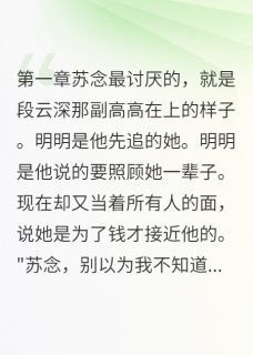 苏念段云深完整未删减版在线阅读 苏念段云深结局