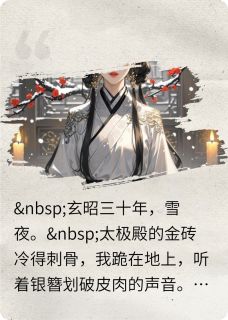 萧彻苏灵月小说<重焰>全文在线阅读-暗夜阅读网
