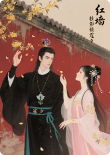 熬夜也要看完的红墙桂影锁霆夕小说推荐-暗夜阅读网
