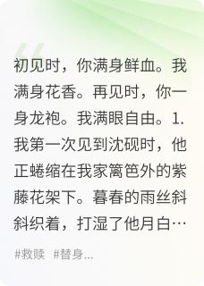 主角沈砚茅屋青芜城小说，青芜与君免费阅读全文-暗夜阅读网
