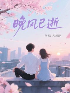 晚风已逝江逸风陆丝晚全章节在线阅读