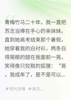 新书推荐我的妹妹，总想和我越界完整版小说-林辰苏念最新章节阅读-暗夜阅读网
