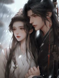 老书虫力荐夫君为双胞胎点天灯后，我改嫁他人免费无弹窗阅读