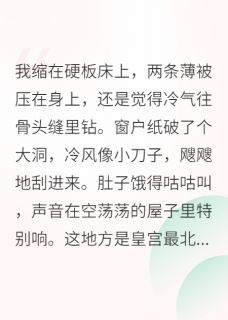 在皇宫里开小卖部无弹窗在线阅读