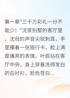 豪门女婿三千万彩礼被悔婚后叶辰沈雨薇叶天明全章节在线阅读