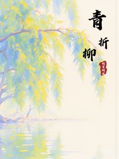 青折柳抖音全本小说无无宋言七苏鸢抖音免费章节阅读