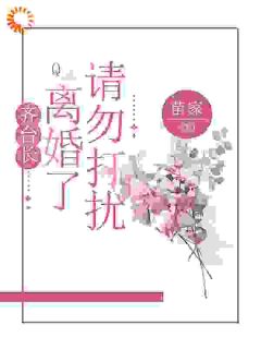 好看的齐台长，离婚了请勿打扰小说，主角薛灿齐凛最新章节阅读-暗夜阅读网