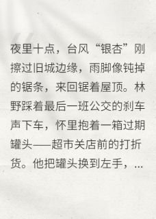 第四十七页小说好看吗 林野苏迴周执最后结局如何-暗夜阅读网