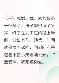 抖音完结渣男找人生儿子,她走后他却疯了木芳婉陆云安魏容湘(全文在线阅读)