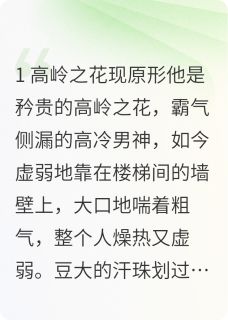 好文热推小说我摸了，霸总老板的铃铛主角夜冥猫猫全文在线阅读