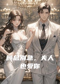 免费试读主角林晚顾延洲沈亦舟小说