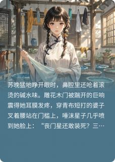 抖音染坊重生by会撒娇的牵牛花在线阅读
