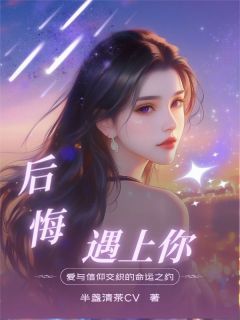 后悔遇上你小说的书名是什么-暗夜阅读网