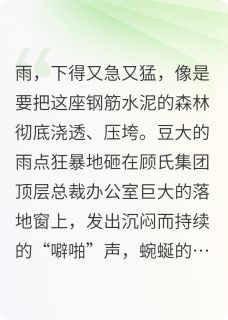 凌夜顾沉舟小说全文免费阅读女保镖故事全文免费阅读