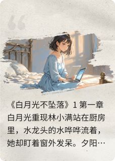 正版小说白月光不坠落林小满顾阳赵明远在线免费阅读