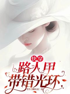 快穿：路人甲带错光环宁慕宁叶季文景小说完整在线阅读