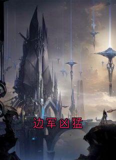 值得熬夜看完的边军凶猛小说阅读