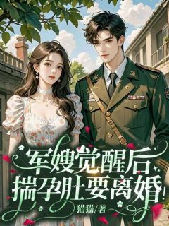 最完整版军嫂觉醒后，揣孕肚要离婚！热门连载小说