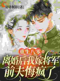 重生八零：离婚后我嫁将军，前夫悔疯了全文目录-谭雨桐陆彦成小说无弹窗阅读