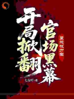 官场逆袭之上司的U盘救了我命！(王宸马文东)最新章节试读