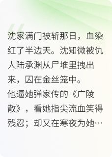 热门推荐他替我挡刀时，我才知他爱疯了by是全名啦小说正版在线-暗夜阅读网