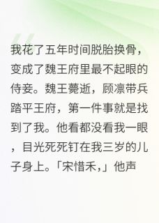 抖音小说王爷，你教的功法，我还给你了，主角顾凛陆昭宋惜禾最后结局小说全文免费