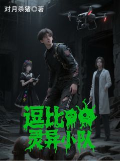 逗比灵异小队免费小说作者对月杀猪全文阅读