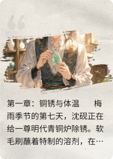 沈砚陆时衍拾光里的修复师完结版小说全文免费阅读