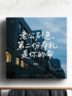 隙屿的小说老公别急，第二份寿礼是你的命全文阅读