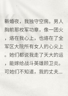 顾卫炎林南笙是什么小说免费版阅读抖音热文
